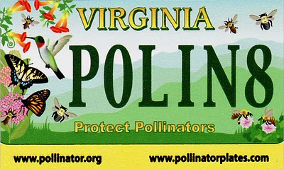 pollinator_plate